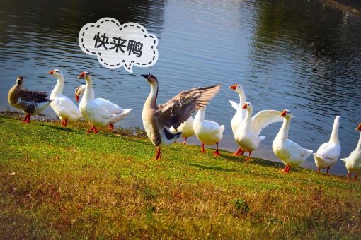 校园文化|"信大景观"拍了拍"18岁的你"(一)